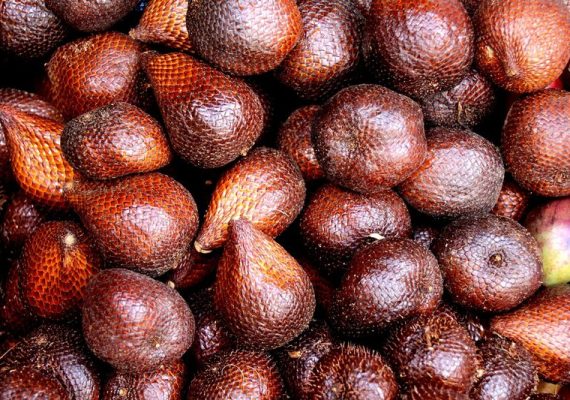 5 Manfaat Salak Pondoh Khas Sleman